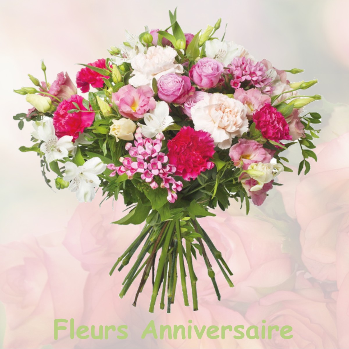 fleurs anniversaire NOYAL-SUR-BRUTZ